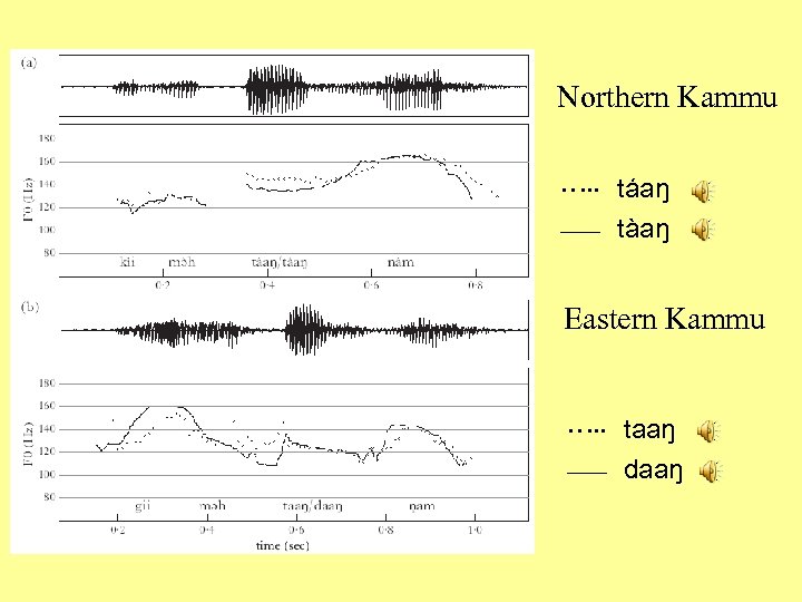 Northern Kammu …. . táaŋ ___ tàaŋ Eastern Kammu …. . taaŋ ___ daaŋ