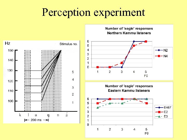 Perception experiment 
