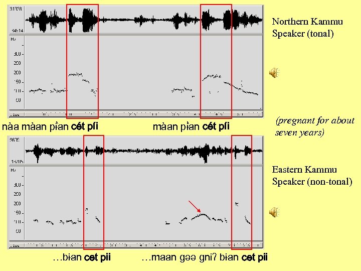 Northern Kammu Speaker (tonal) nàa màan pɨan cét píi ` (pregnant for about seven