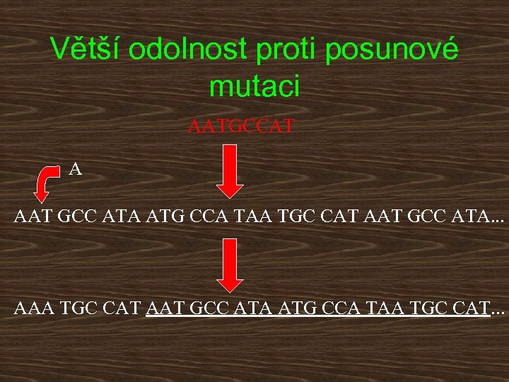 Větší odolnost proti posunové mutaci AATGCCAT A AAT GCC ATA ATG CCA TAA TGC