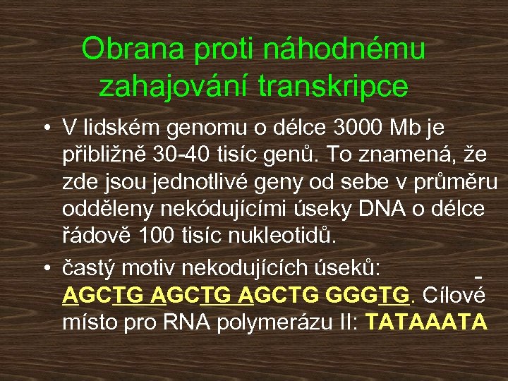 Obrana proti náhodnému zahajování transkripce • V lidském genomu o délce 3000 Mb je