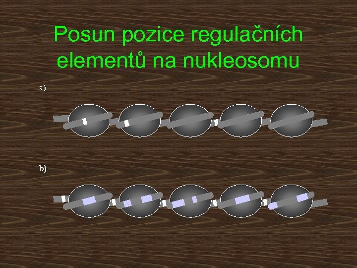 Posun pozice regulačních elementů na nukleosomu a) b) 