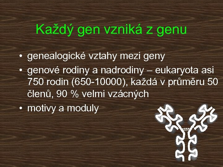 Každý gen vzniká z genu • genealogické vztahy mezi geny • genové rodiny a
