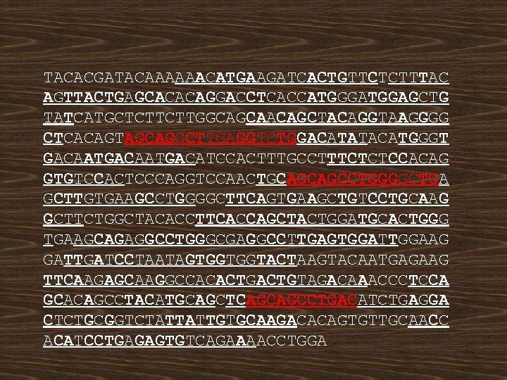 TACACGATACAAAAAACATGAAGATCACTGTTCTCTTTAC AGTTACTGAGCACACAGGACCTCACCATGGGATGGAGCTG TATCATGCTCTTCTTGGCAGCAACAGCTACAGGTAAGGGG CTCACAGTAGCAGGCTTGAGGTCTGGACATATACATGGGT GACAATGACATCCACTTTGCCTTTCTCTCCACAG GTGTCCACTCCCAGGTCCAACTGCAGCAGCCTGGGGCTGA GCTTGTGAAGCCTGGGGCTTCAGTGAAGCTGTCCTGCAAG GCTTCTGGCTACACCTTCACCAGCTACTGGATGCACTGGG TGAAGCAGAGGCCTGGGCGAGGCCTTGAGTGGATTGGAAG GATTGATCCTAATAGTGGTGGTACTAAGTACAATGAGAAG TTCAAGAGCAAGGCCACACTGTAGACAAACCCTCCA GCACAGCCTACATGCAGCTCAGCAGCCTGACATCTGAGGA CTCTGCGGTCTATTATTGTGCAAGACACAGTGTTGCAACC ACATCCTGAGAGTGTCAGAAAACCTGGA