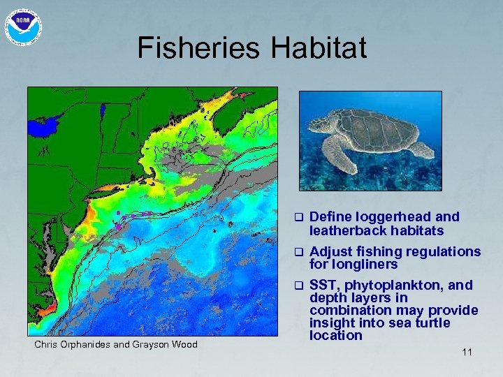 Fisheries Habitat q Define loggerhead and leatherback habitats Adjust fishing regulations for longliners q