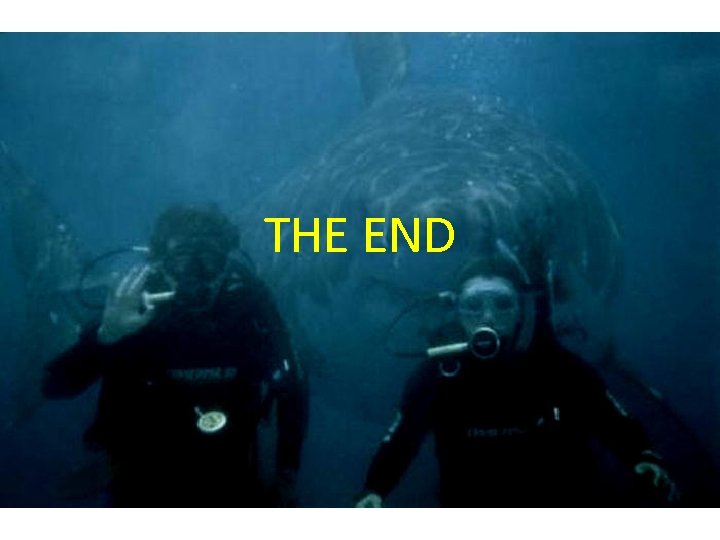 THE END 
