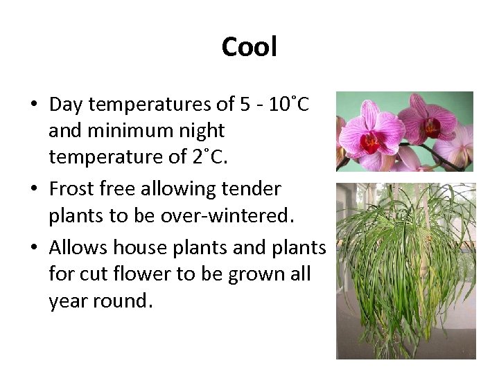 Cool • Day temperatures of 5 - 10˚C and minimum night temperature of 2˚C.