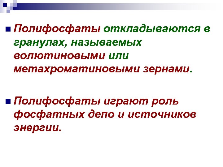 n Полифосфаты откладываются в гранулах, называемых волютиновыми или метахроматиновыми зернами. n Полифосфаты играют роль