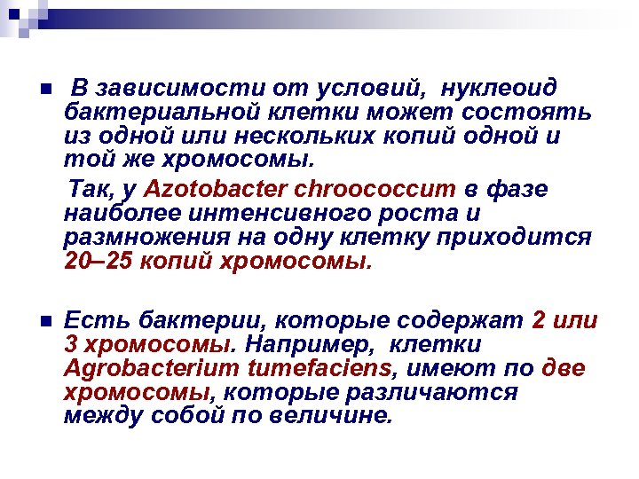 n В зависимости от условий, нуклеоид бактериальной клетки может состоять из одной или нескольких