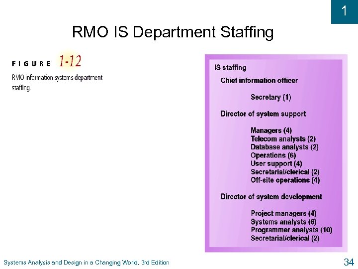1 RMO IS Department Staffing Systems Analysis and Design in a Changing World, 3