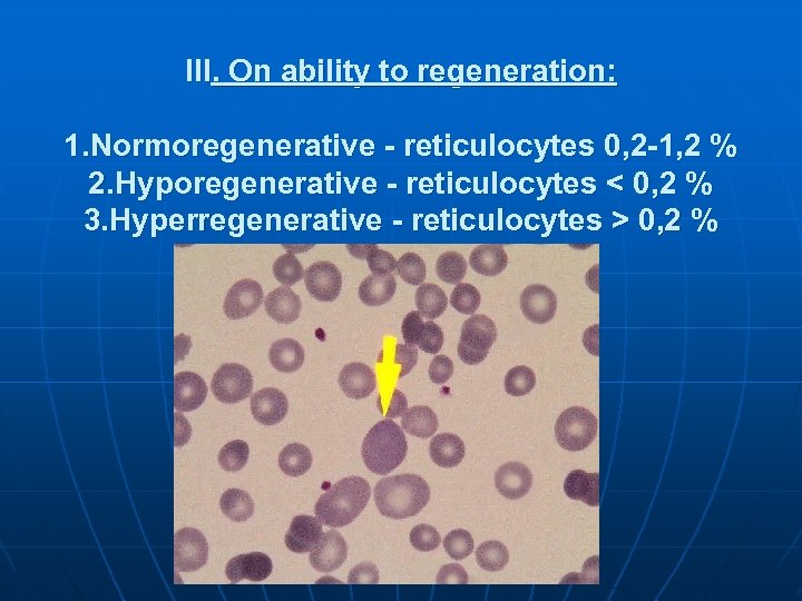 III. On ability to regeneration: 1. Normoregenerative - reticulocytes 0, 2 -1, 2 %