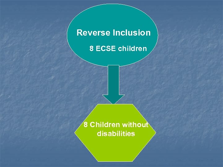 Reverse Inclusion 8 ECSE children 8 Children without disabilities 