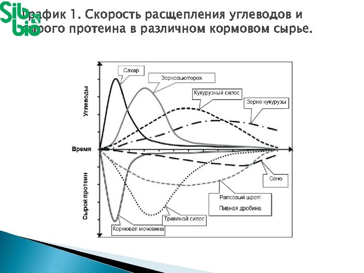 График 1. Скорость расщепления углеводов и сырого протеина в различном кормовом сырье. 