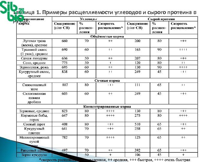Таблица 1. Примеры расщепляемости углеводов и сырого протеина в рубце. 