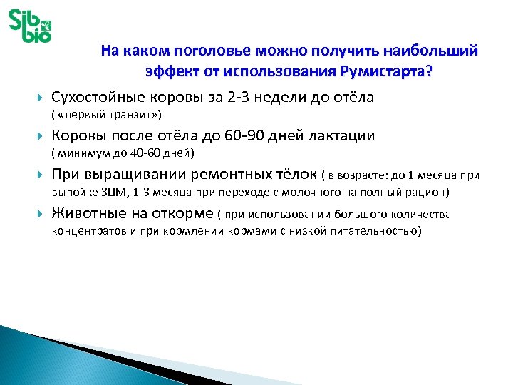  На каком поголовье можно получить наибольший эффект от использования Румистарта? Сухостойные коровы за