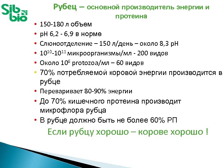 Рубец – основной производитель энергии и протеина 150 -180 л объем p. H 6,
