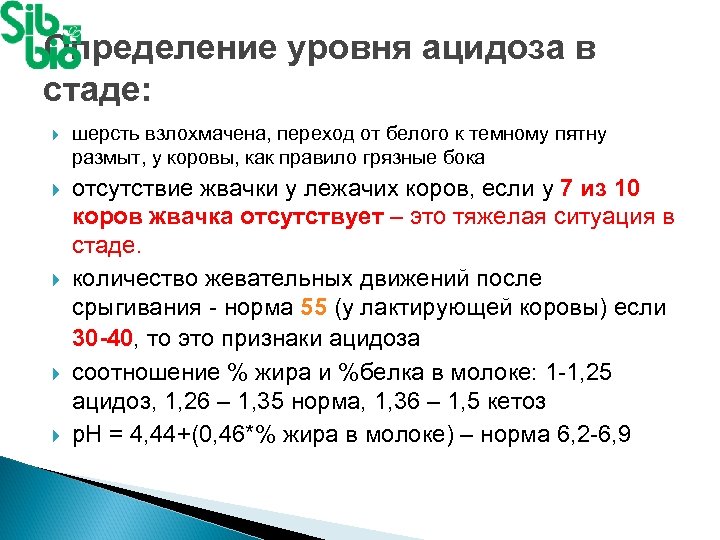 Определение уровня ацидоза в стаде: шерсть взлохмачена, переход от белого к темному пятну размыт,