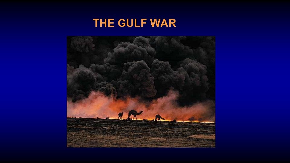 THE GULF WAR 