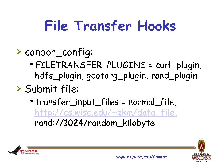 File Transfer Hooks › condor_config: FILETRANSFER_PLUGINS = curl_plugin, hdfs_plugin, gdotorg_plugin, rand_plugin › Submit file: