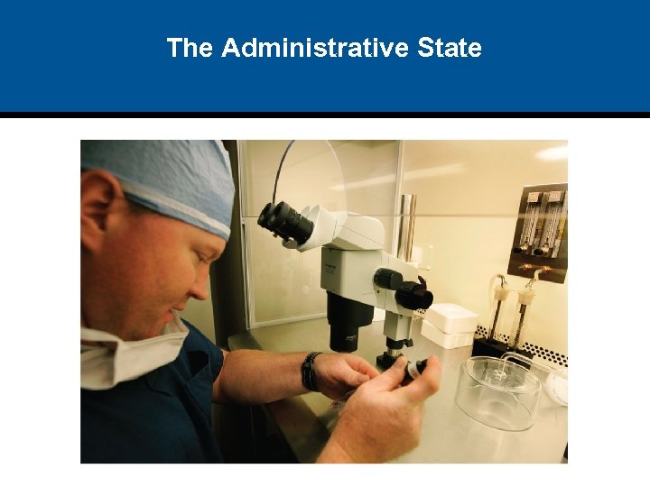 The Administrative State 