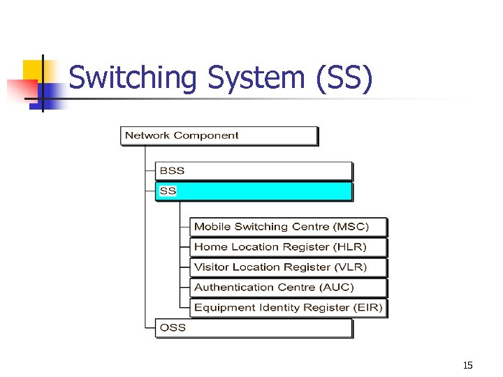 Switching System (SS) 15 