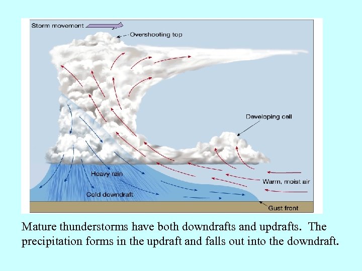 Mature thunderstorms have both downdrafts and updrafts. The precipitation forms in the updraft and