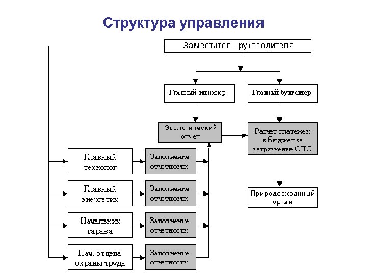 Структура управления 