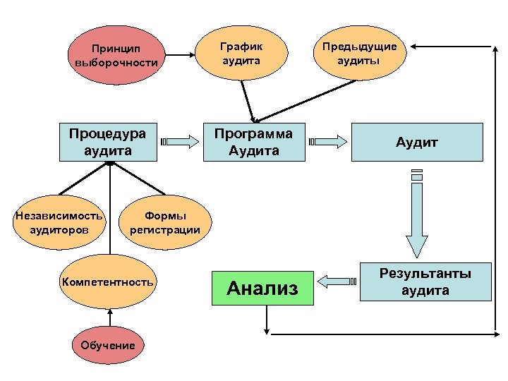 Принцип выборочности Процедура аудита Независимость аудиторов График аудита Программа Аудита Предыдущие аудиты Аудит Формы