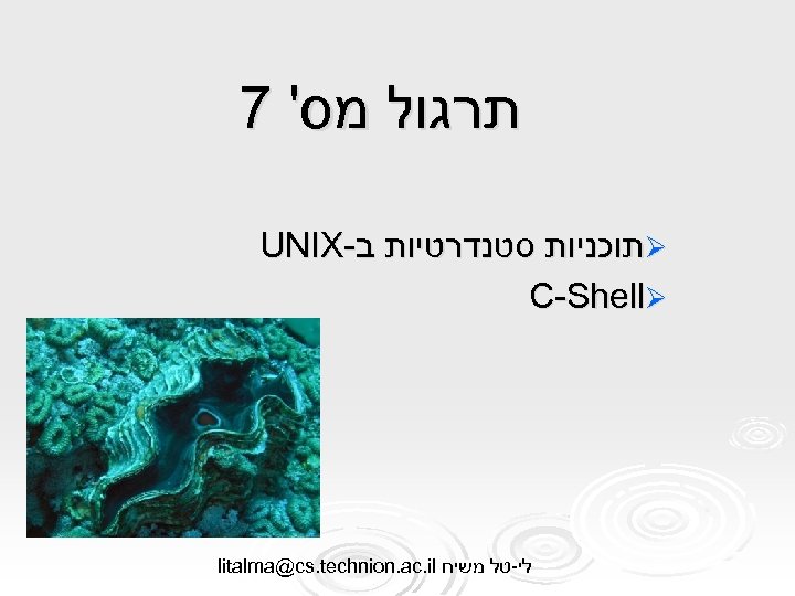 7 ' תרגול מס UNIX- תוכניות סטנדרטיות ב Ø C-ShellØ litalma@cs. technion. ac. il