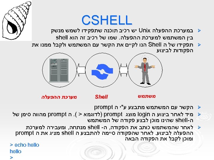  CSHELL Ø במערכת ההפעלה Unix יש רכיב תוכנה שתפקידו לשמש מנשק בין המשתמש