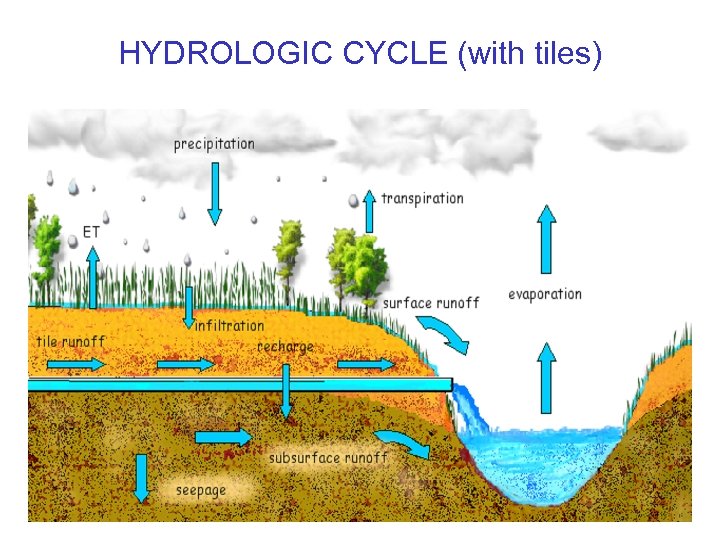 HYDROLOGIC CYCLE (with tiles) 