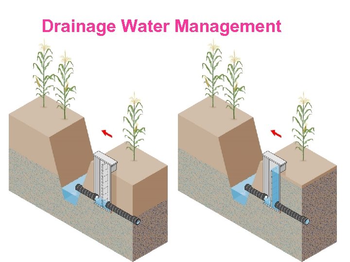 Drainage Water Management 