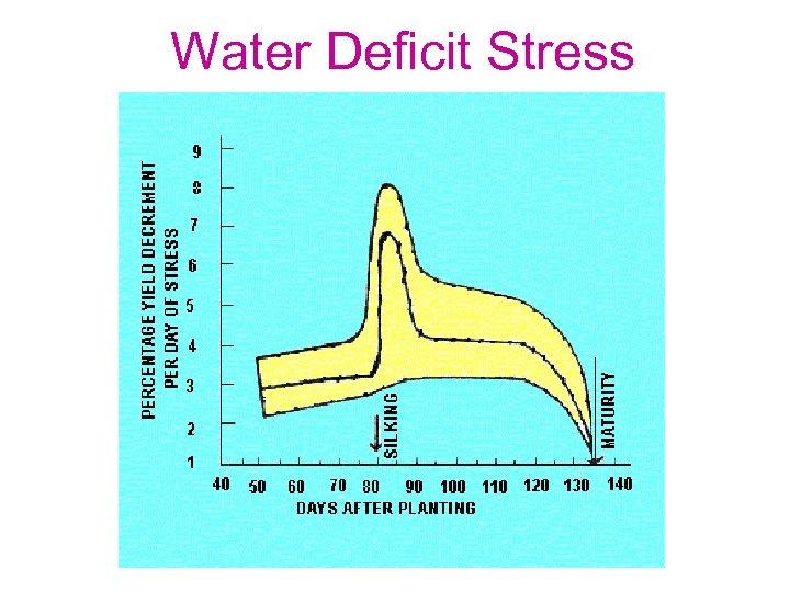 Water Deficit Stress 