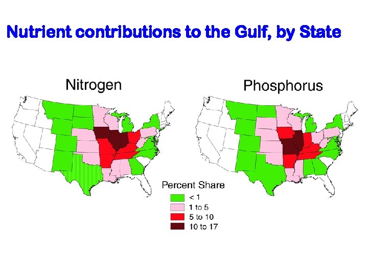 Nutrient contributions to the Gulf, by State 