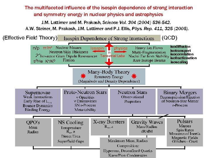 The multifaceted influence of the isospin dependence of strong interaction and symmetry energy in