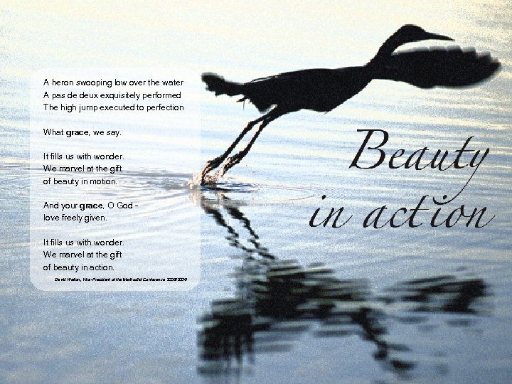 A heron swooping low over the water A pas de deux exquisitely performed The