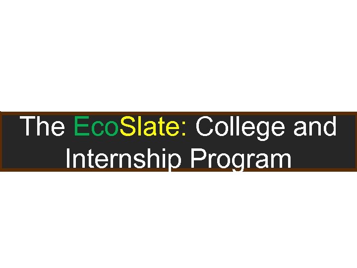 The Eco. Slate: College and Internship Program 