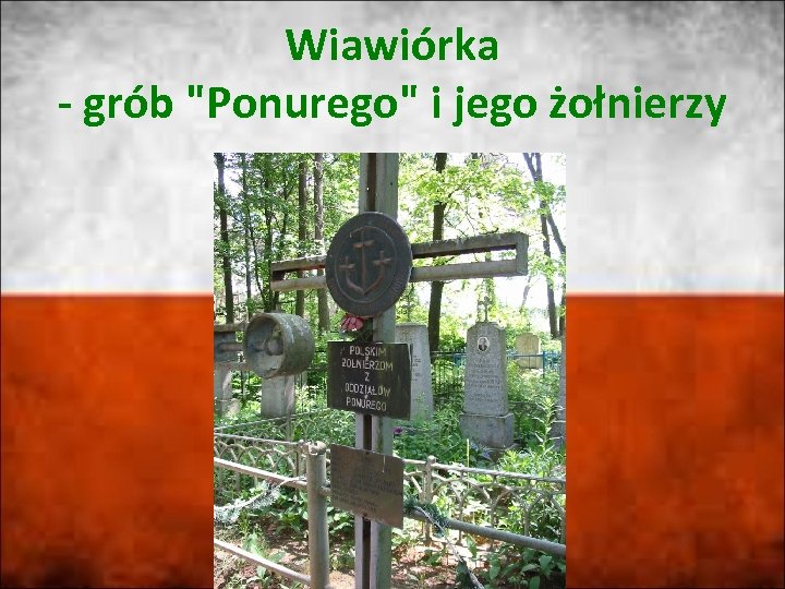 Wiawiórka - grób 