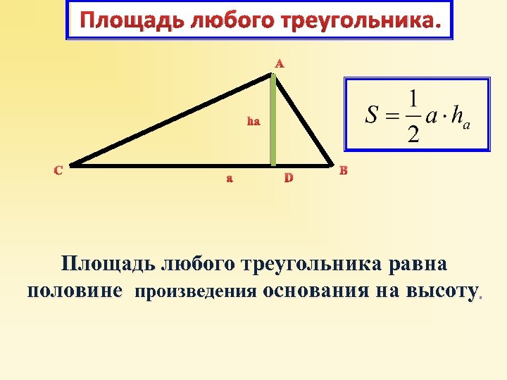 Площадь любого треугольника. А ha C a D B Площадь любого треугольника равна половине