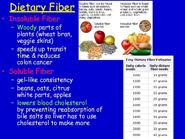 Dietary Fiber • Insoluble Fiber – Woody parts of plants (wheat bran, veggie skins)