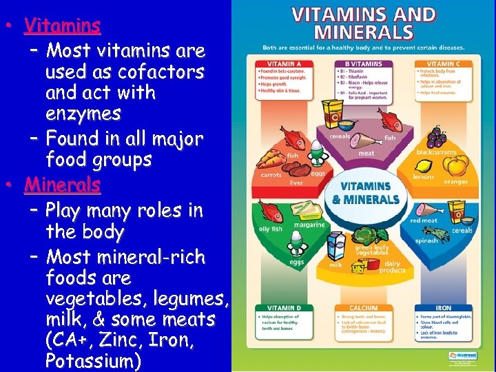  • Vitamins – Most vitamins are used as cofactors and act with enzymes