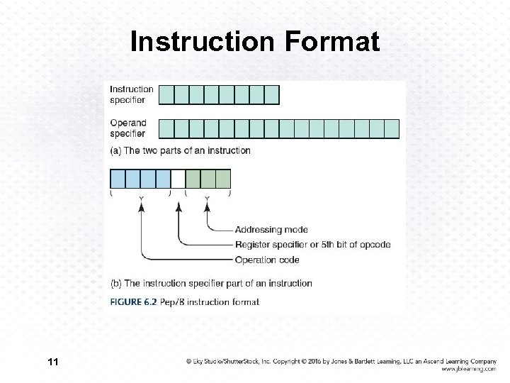 Instruction Format 11 