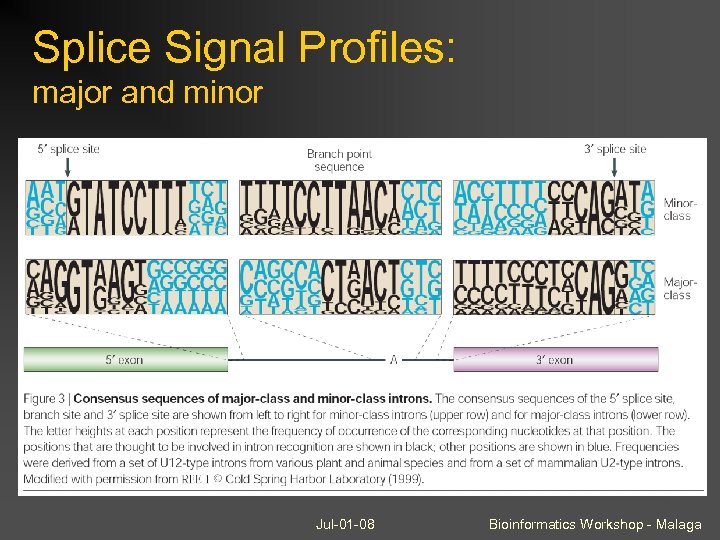Splice Signal Profiles: major and minor Jul-01 -08 Bioinformatics Workshop - Malaga 