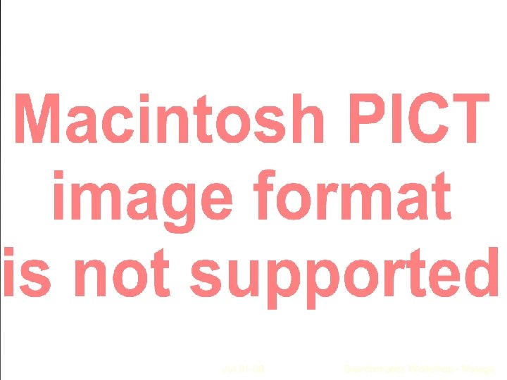 Jul-01 -08 Bioinformatics Workshop - Malaga 