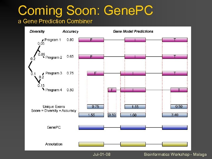Coming Soon: Gene. PC a Gene Prediction Combiner Jul-01 -08 Bioinformatics Workshop - Malaga