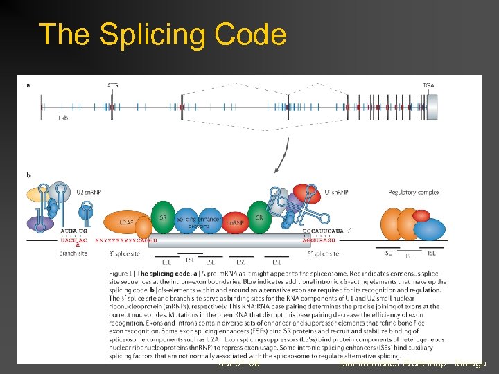 The Splicing Code Jul-01 -08 Bioinformatics Workshop - Malaga 