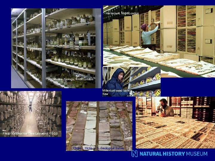 Herbarium, NHM London Marine Zoology, NHM London Millenium seed bank Kew Photo National Ice