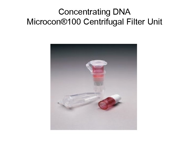 Concentrating DNA Microcon® 100 Centrifugal Filter Unit 