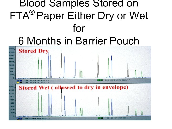 Blood Samples Stored on ® FTA Paper Either Dry or Wet for 6 Months