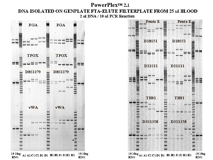 Power. Plex™ 2. 1 DNA ISOLATED ON GENPLATE FTA-ELUTE FILTERPLATE FROM 25 ul BLOOD